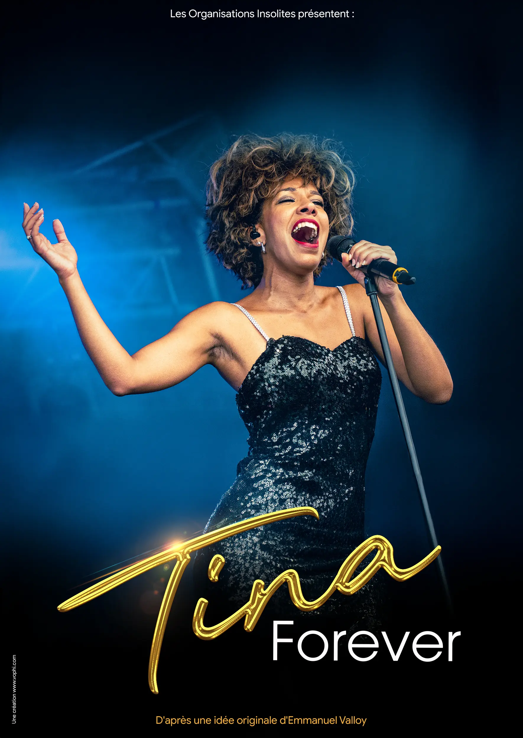 l affiche du tribute Tina Turner